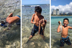 بالفيديو.. طفل يصطاد أخطبوطا