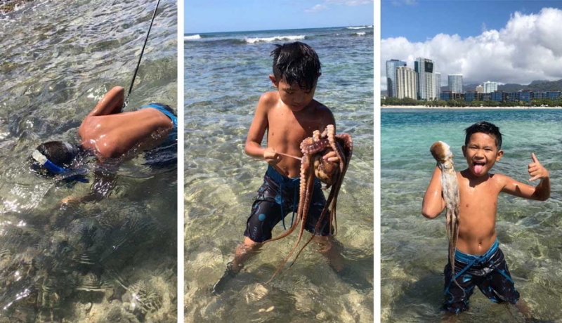 بالفيديو.. طفل يصطاد أخطبوطا