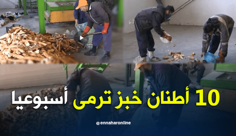 تجارة: الخبازون يعترفون بإعداد خبز بنوعية رديئة