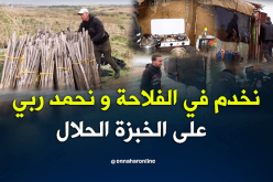 عين تيموشنت.. نخدم في الفلاحة ونسكن “البراكة” وما “نعاندش” البطال