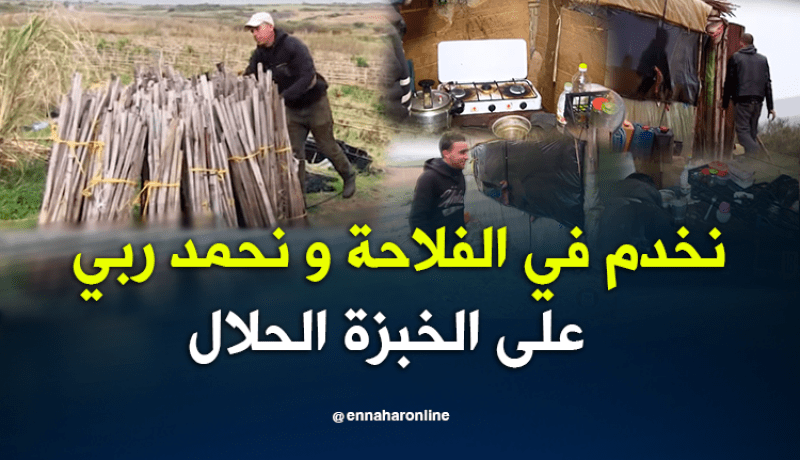 عين تيموشنت.. نخدم في الفلاحة ونسكن “البراكة” وما “نعاندش” البطال
