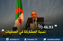 46.93 من المائة نسبة المشاركة في المحليات