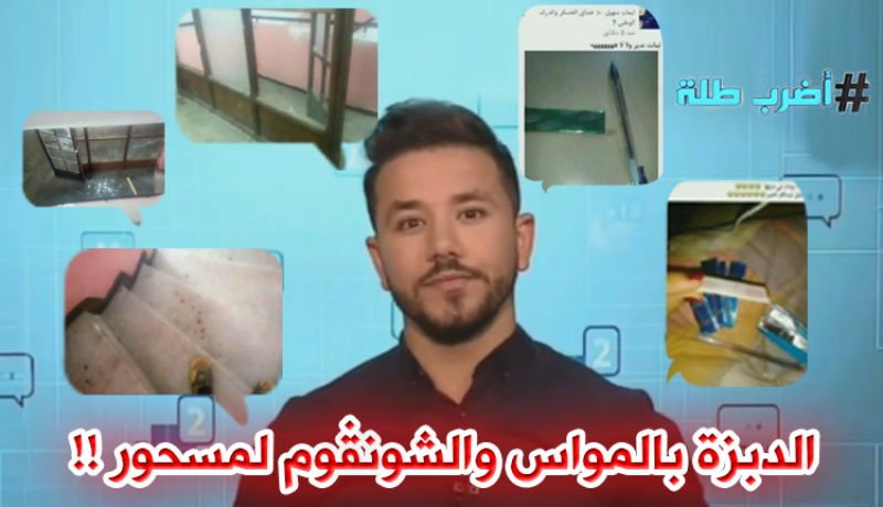 “أضرب طلة”.. الدبزة بالمواس والشوينڤوم المسحور !!