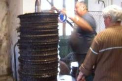 الفلاحون متخوفون من تلف الزيتون الذي تأخر عصره