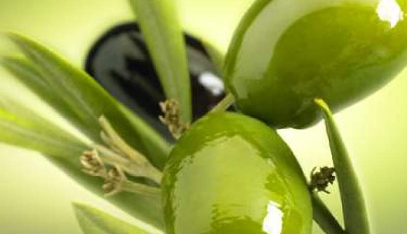 زيت الزيتون يوقف عمل جينات تؤدى إلى أمراض القلب والتهاب المفاصل