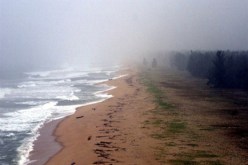 16 قتيلا وفقدان شخصين جراء إعصار”فيت” بسلطنة عمان