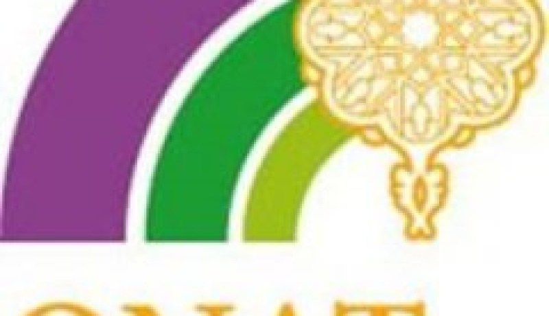 الديوان الوطني للسياحة يسعى للتكفل بـ 2.5 مليون سائح في 2015
