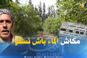 غليزان: نقص مياه السقي يهدد أشجار الحمضيات بالجفاف