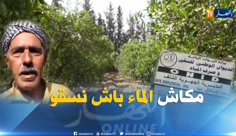 بالفيديو..نقص مياه السقي يؤرق فلاحي واد الجمعة بغليزان
