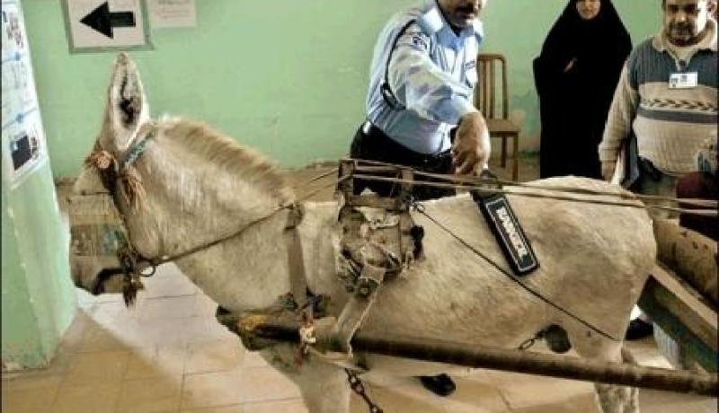 الغرب يعامل المسلمين كأشباه حيوانات