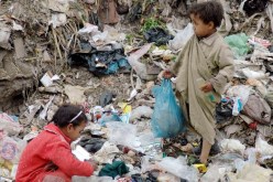 10 محافظات مهددة بالمجاعة في اليمن