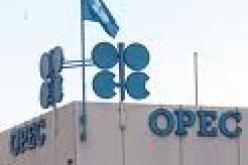 شركة بريتش بتروليوم تؤكد انها لم تفصل بعد في رحيل مديرها التنفيذي