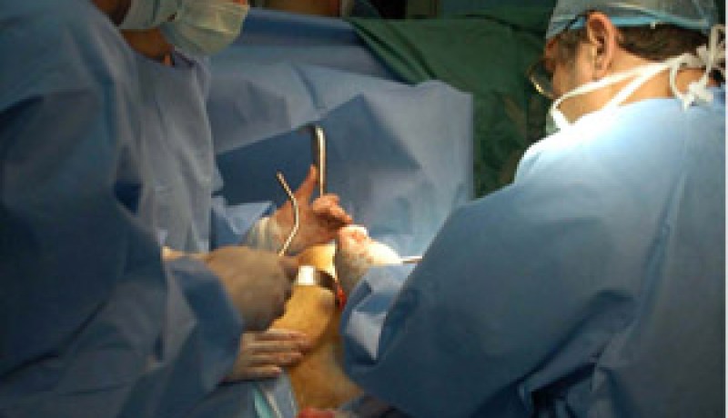 أجانب يتاجرون في أجساد الجزائريين.. و500 شكوى على طاولة عمادة الطب!