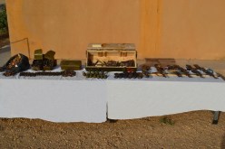 حجزأزيد من  1800 رصاصة  و11 قنبلة  ببرج باجي مختار