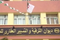 بوتفليقة ينهي مهام العديد من مدراء دواوين الترقية والتسيير العقاري