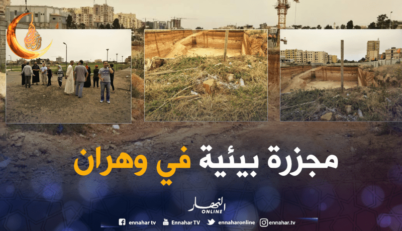 ولاية وهران تفتح تحقيقا في قضية قطع 17 شجرة معمرة بالعقيد لطفي