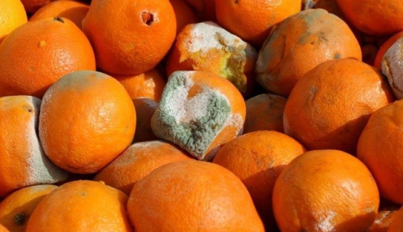 حجز قنطار و80 كلغ برتقال فاسد و64 علبة عصير منتهية الصلاحية تُقدم لأطفال المدارس بالوادي