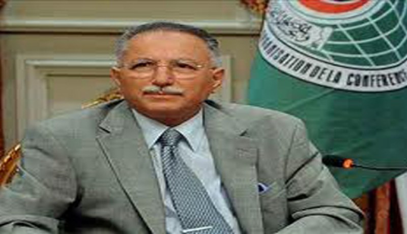 منظمة التعاون الإسلامي تؤكد  تناقض القانون الفرنسي بشأن الإبادة الأرمينية مع مبدأ حرية التعبير