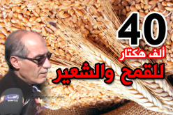 بالفيديو .. عبد القادر بن سعيد والي الوادي  خصصنا 40 ألف هكتار للزراعات الكبرى
