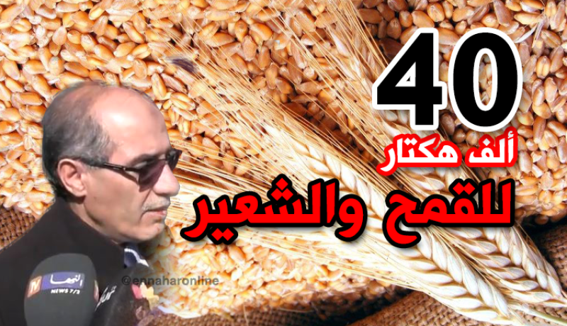 بالفيديو .. عبد القادر بن سعيد والي الوادي خصصنا 40 ألف هكتار للزراعات الكبرى
