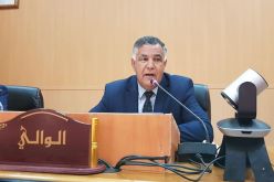 تطبيقا لتعليمات رئيس الجمهورية.. ولاية إليزي تشرع في إحصاء سكان مناطق الظل