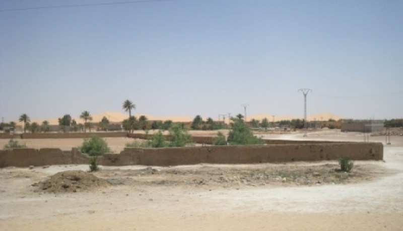 نقائص عديدة تمسّ مختلف القطاعات