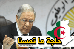 بالفيديو.. ولد عباس: الجزائر بخير رغم كل محاولات الأعداء