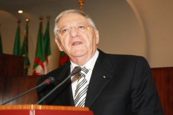 أول عملية زرع كلى بين الأصول في‮ ‬مايو‬