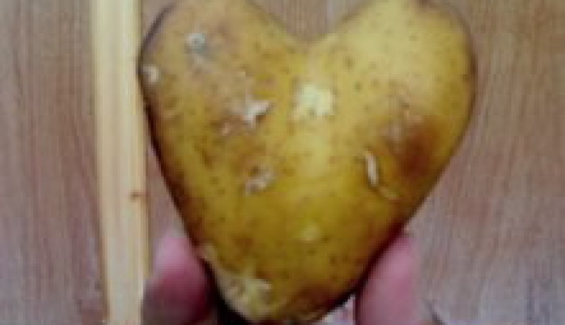 بطاطا العشاق