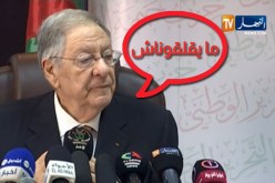 بالفيديو..من يقلق ولد عباس ؟