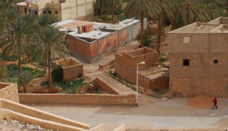 عقب التعليمة الواردة من وزارة الداخلية :والي الوادي يأمر بفتح تحقيق معمق في ملفات الأراضي الممنوحة قبل 2005