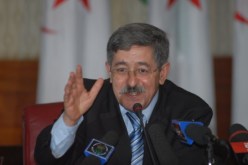 موقع الوزير الأول لم ينطلق
