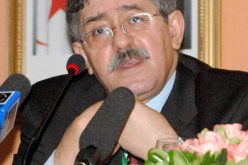 أحمد أويحي بتبسة وحدة الوطن والشعب غايتنا ومن أهم انجازاتنا 30 حزبا في الساحة و130 عنوان منها 80 يومية “وتحيا الصحافة رغم قساوة ضرباتها