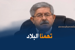 أويحيى: تهمنا خدمة بلادنا