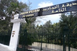 مؤسسة حديقة الحامة تمنح صفقة لاقتناء الأعلاف إلى ''خضار''