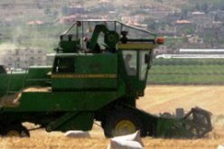 حاصدة تمزق فلاحا إربا في بسكـرة