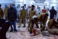 العمل للنفع العام سيكون حسب تكوين المستفيد من الحكم