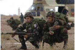 سلال يشيد باحترافية الجيش الوطني الشعبي في تحرير الرهائن بتيقنتورين