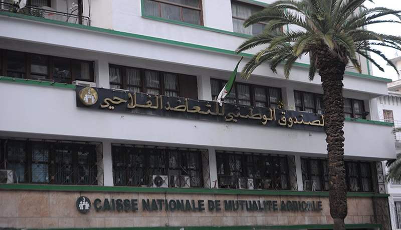 تعويض الفلاحين وأصحاب السيارات في ظرف أسبوع