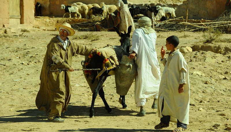 ورقلة تنظم أولى اللقاءات السينمائية لمدينة حاسي مسعود