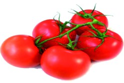 خضار‮ ‬يدس‮ ''‬الزطلة‮'' ‬وسط الطماطم المعروضة للبيع في‮ ‬القبة