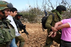 الاحتلال يعتقل 12 فلسطينيا في الضفة الغربية
