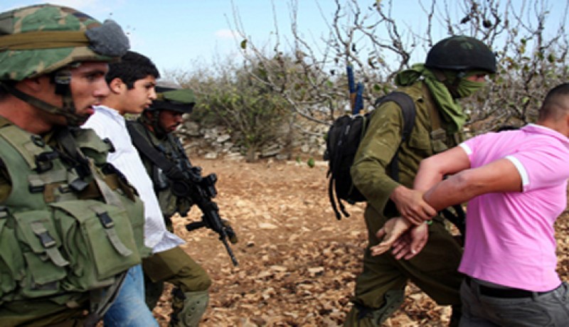 الاحتلال يعتقل 12 فلسطينيا في الضفة الغربية
