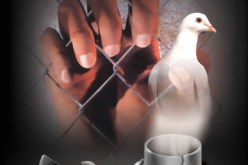 800 ألف حالة إعتقال لفلسطينيين من قبل قوات الاحتلال الإسرائيلي منذ النكبة