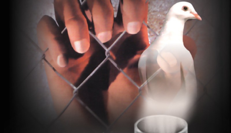 800 ألف حالة إعتقال لفلسطينيين من قبل قوات الاحتلال الإسرائيلي منذ النكبة