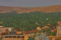 غيطان النخيل القديمة عرضة للزوال نتيجة أعمال الردم وهجرة الفلاحين نحو مناطق التوسع الحضري بالوادي