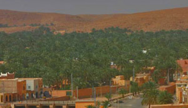 غيطان النخيل القديمة عرضة للزوال نتيجة أعمال الردم وهجرة الفلاحين نحو مناطق التوسع الحضري بالوادي
