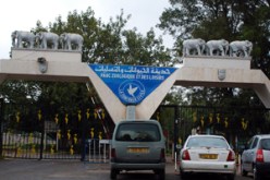 عائلات تتوافد، طالبات تتجمعن قبل نهاية الموسم وعشاق انزووا في الجيوب