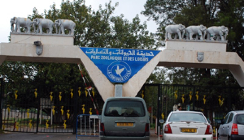 عائلات تتوافد، طالبات تتجمعن قبل نهاية الموسم وعشاق انزووا في الجيوب
