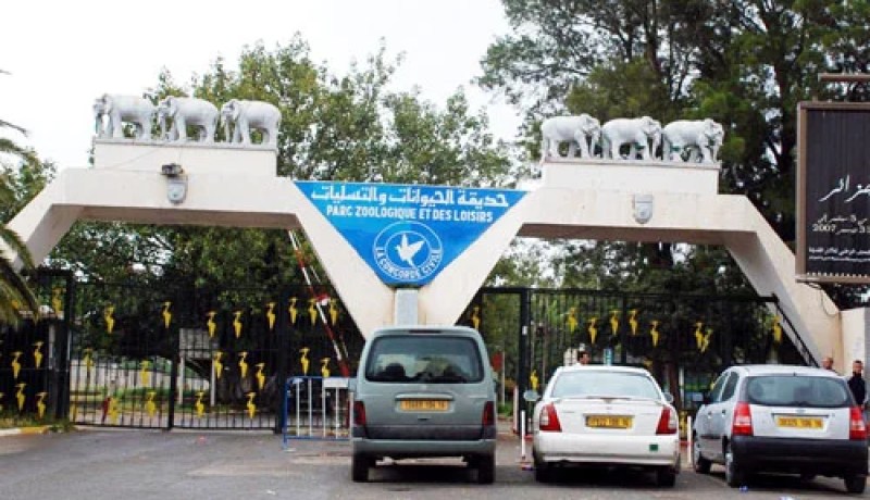 جلسة جنس بـ 100 دينار فقط!